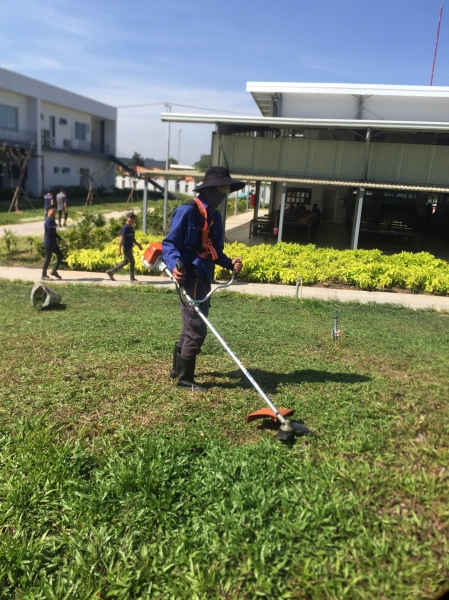 Dịch vụ trồng và chăm sóc thảm cỏ